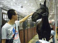 纽约-波士顿-华盛顿-芝加哥-印第安纳波利斯游学之旅报名征集