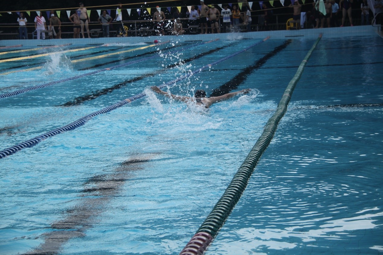 学习十九大精神，从“新”开始——williamhill中国首次组队参加William希尔教职工游泳比赛勇创佳绩