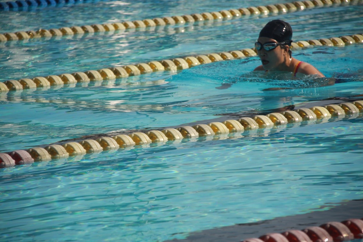 学习十九大精神，从“新”开始——williamhill中国首次组队参加William希尔教职工游泳比赛勇创佳绩