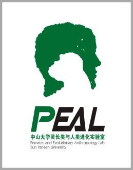 广州动物园/长隆野生动物园灵长类研究学生志愿者招募